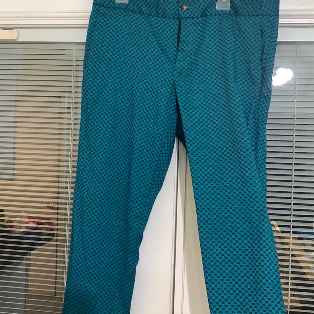 Banana Republic Teal Pants